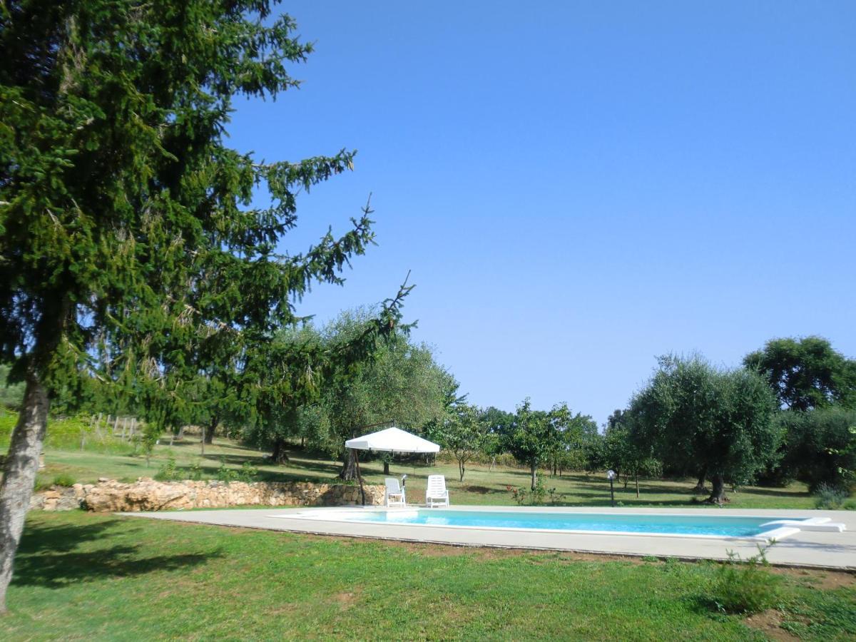 I Massi Bed & Breakfast San Michele in Teverina Exterior photo