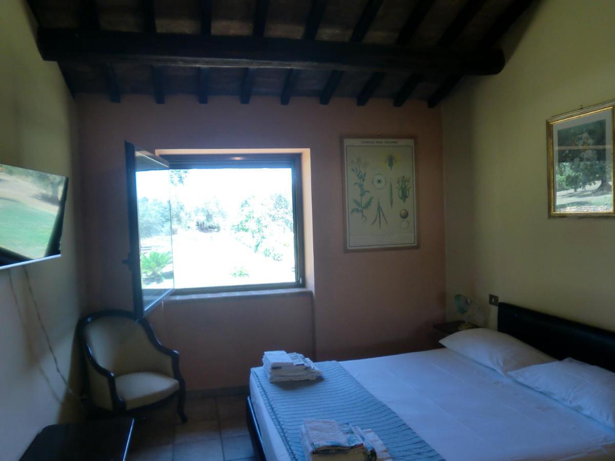 I Massi Bed & Breakfast San Michele in Teverina Exterior photo