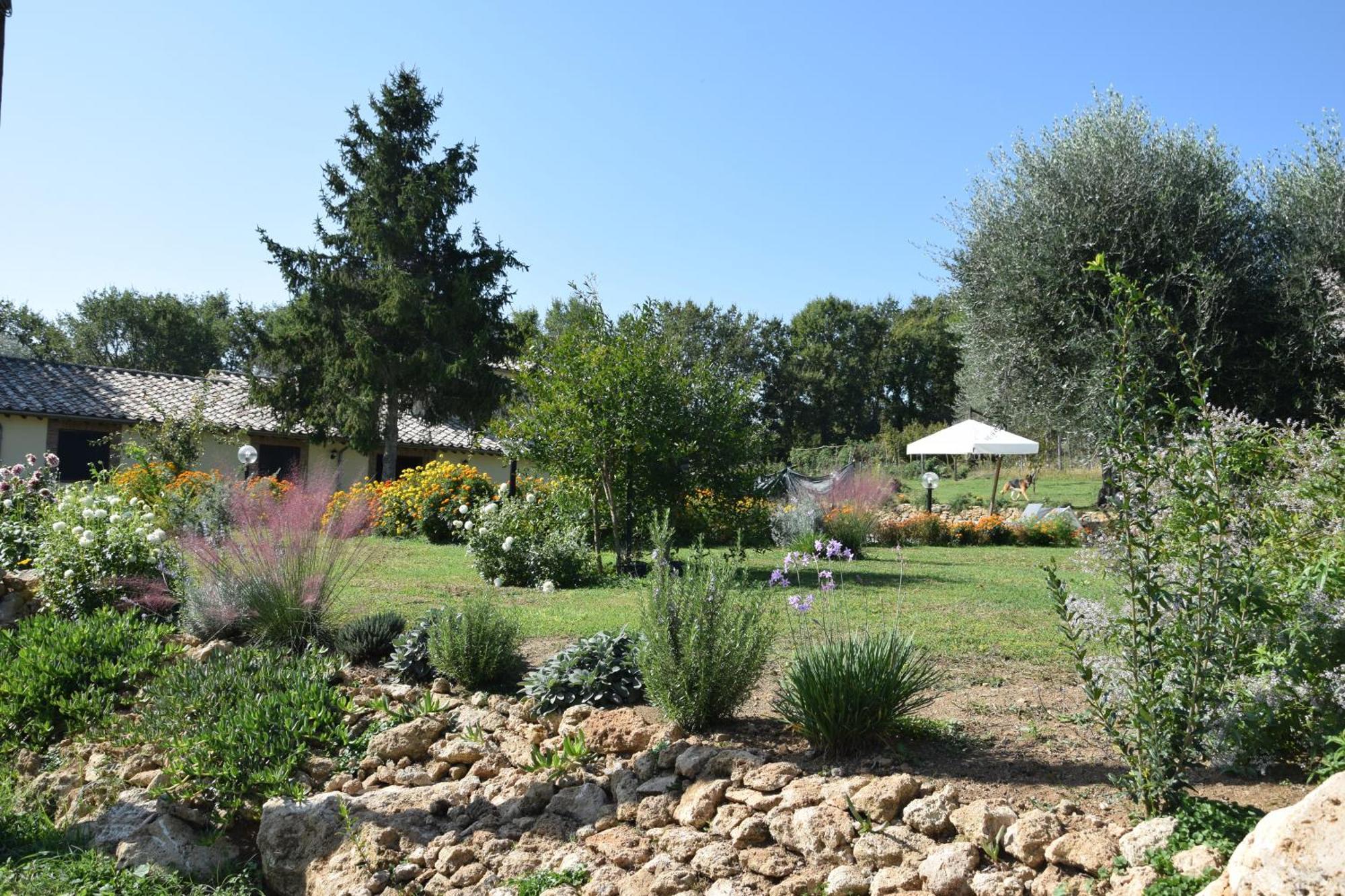 I Massi Bed & Breakfast San Michele in Teverina Exterior photo