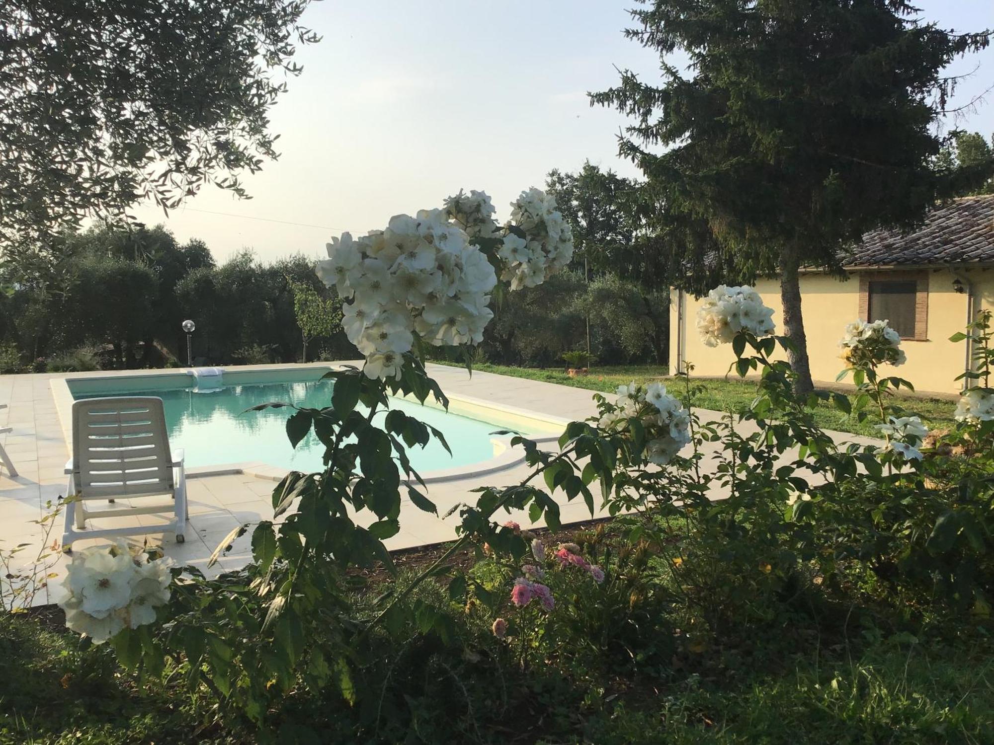 I Massi Bed & Breakfast San Michele in Teverina Exterior photo